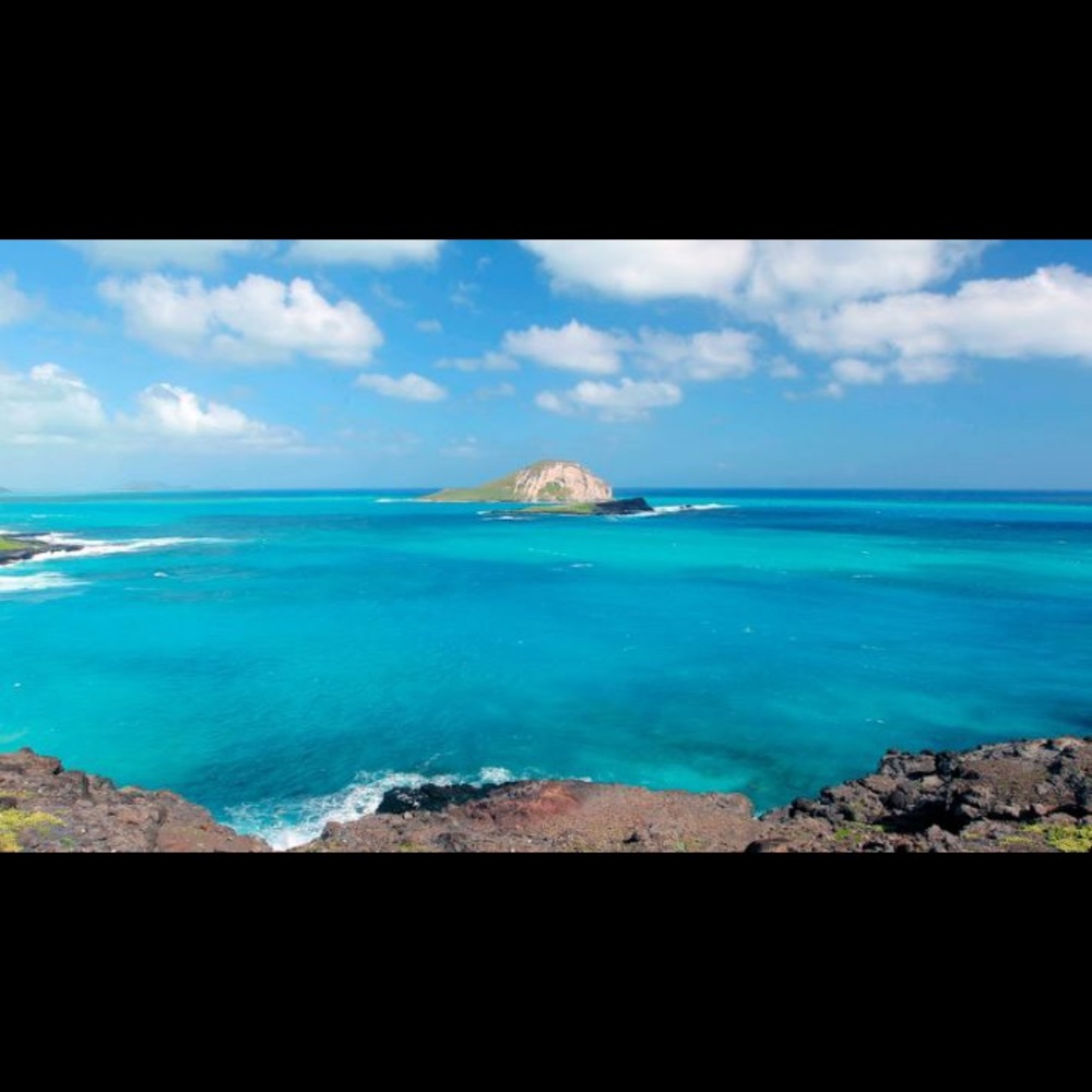 Meet your Posher, Tiffanie